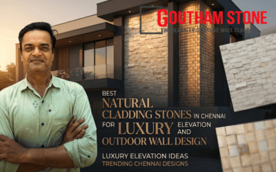 Best Natural Cladding Stones in Chennai for Luxury Elevation and Outdoor Wall Design
